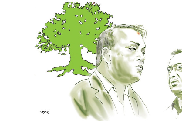 विकल्प बन्ला कांग्रेस?