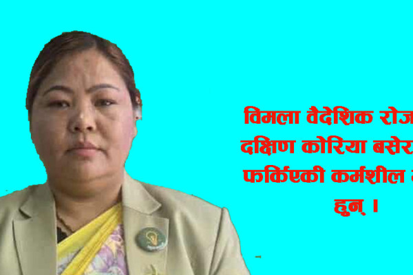 वैदेशिक रोजगारीबाट संसद्को यात्रामा तम्सिँदै विमला