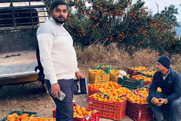 चितवनमा सुन्तलाको उत्पादन १० प्रतिशतले घट्यो