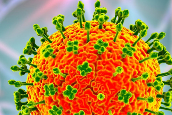 निपाह भाइरसको जोखिम न्यून भए पनि सतर्क रहन स्वास्थ्य मन्त्रालयको आग्रह