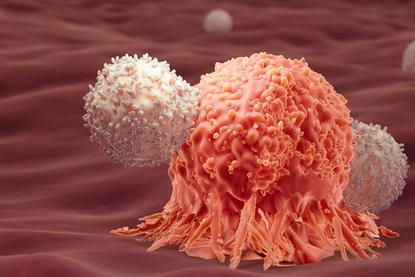 क्यान्सरबाट हरेक वर्ष दश लाखको मृत्यु