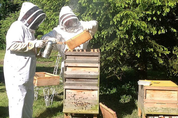 कास्कीका मौरीपालकले गाउँमै दिँदै छन् रोजगारी