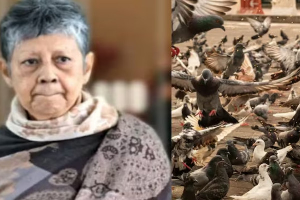 परेवालाई चारा खुवाउने महिलालाई तीन लाख बढी जरिवाना