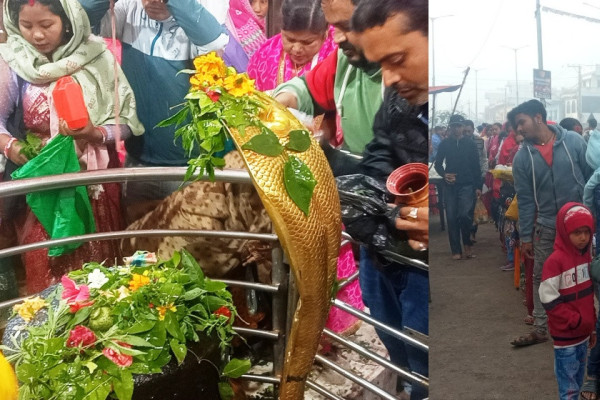 महाशिवरात्री : तौलेश्वरनाथ महादेवमा भक्तजनको भीड