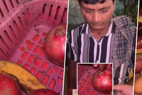 फलफूल मुसाले खान्छ भनेर औषधी लगाउँथे, भिडियो भाइरल भएपछि दुईजना समातिए