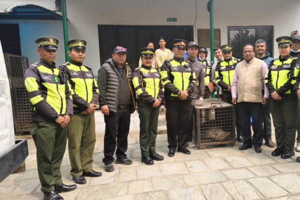 ललितपुरबाट चितुवाको उद्धार