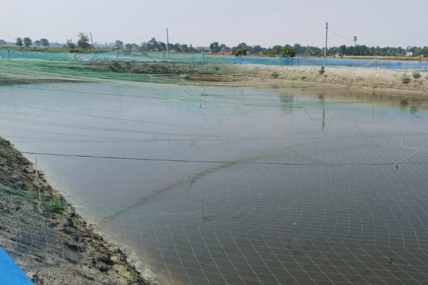 मादीमा मत्स्य संरक्षण परियोजना कार्यान्वयन&nbsp;