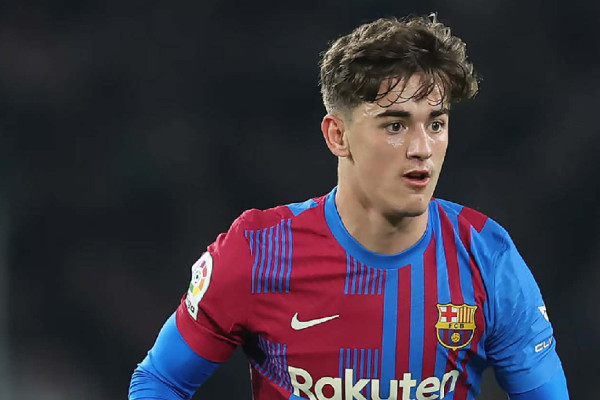 मैदानमा फर्किँदै गाभी