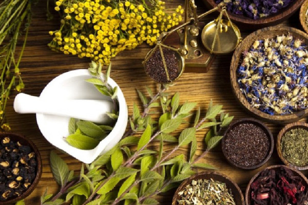 नेपालमा पहिलोपटक जडिबुटी स्रोत सर्वेक्षण सुरु