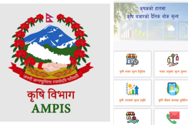 अब कृषि उपजको दैनिक थोक मूल्य ‘एएमपिआइएस नेपाल’ एपमा
