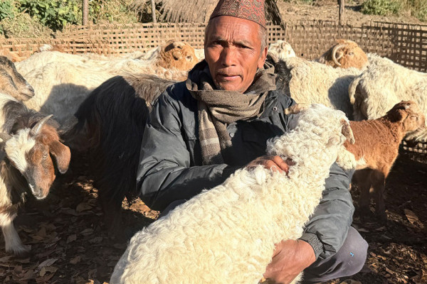 भेडागोठमा पाँच दशक बिताएका नरेन्द्रलाई पढ्न नपाएकामा पछुतो